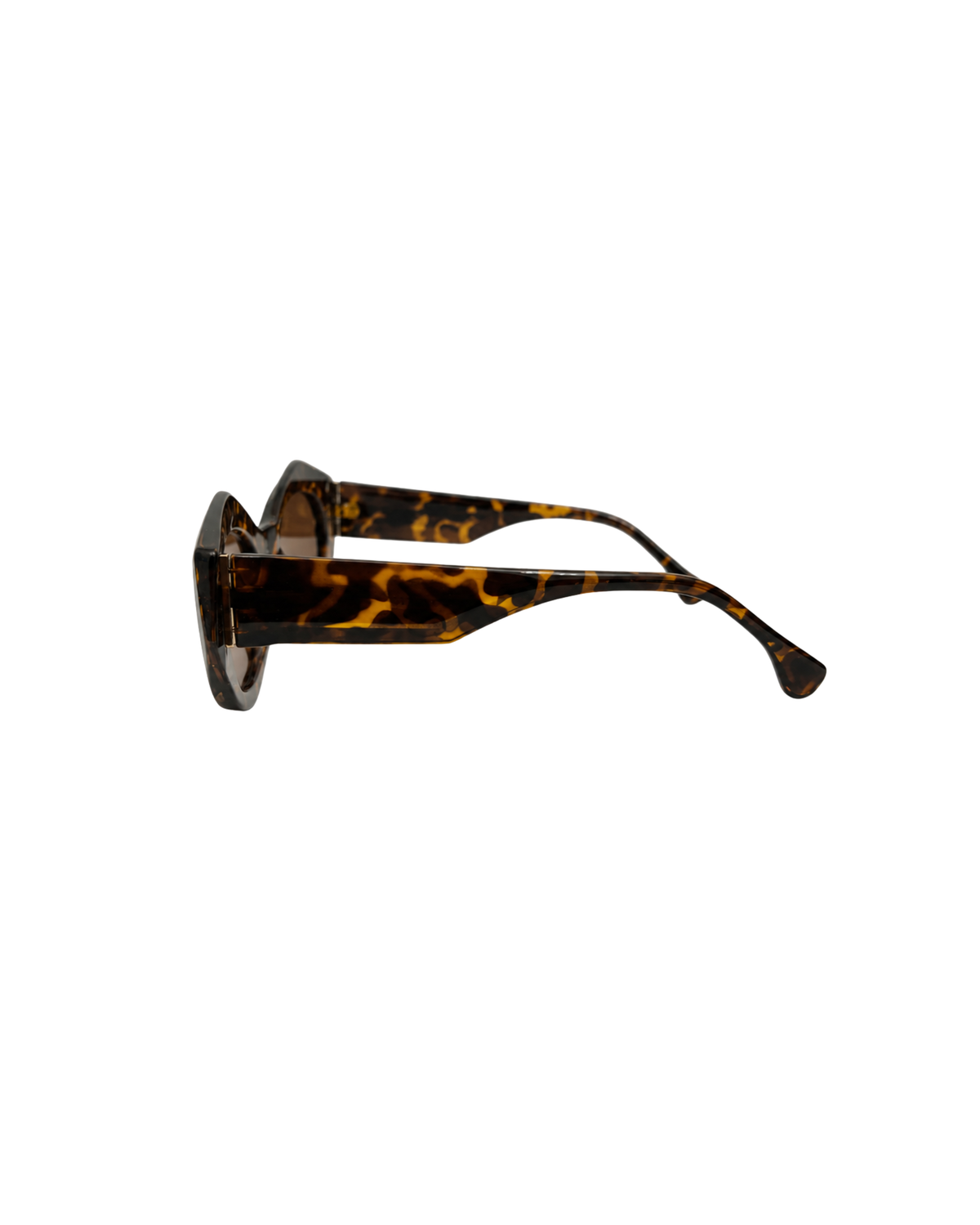 Amber Angular